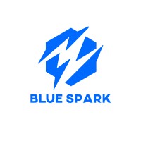 Blue Spark Agency logo - Similar company to Ez Booker