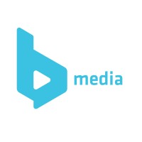 bMedia Video Production and Animation logo - Similar company to Blubear