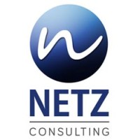 Netz Consulting logo - Similar company to Global Data Vision