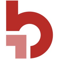 Borascale logo - Similar company to Kwingo Group