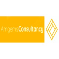 Amgems Consultancy B.V. logo - Similar company to I-Qunix Ltd