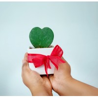 MyGreeenHome.com logo - Similar company to Obtainex
