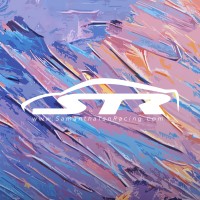 Samantha Tan Racing logo - Similar company to Project Skin Md