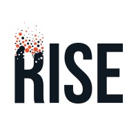 Rise Associates logo - Similar company to Market Curators Ltd