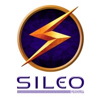 Sileo Group, Inc. logo - Similar company to Sileo