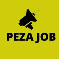 Peza Job Zambia logo - Similar company to Netone Zambia