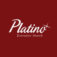 Platino Executive Search logo - Similar company to Flexio Software
