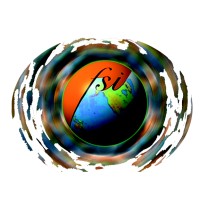 FSI Software Inc logo - Similar company to Fsi