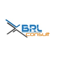 XBRL Consult logo - Similar company to Sec Filing Solutions