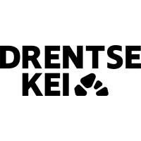 Drentse KEI - Drentse Koepel Energie-Initiatieven logo - Similar company to Maarten!