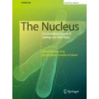 The Nucleus