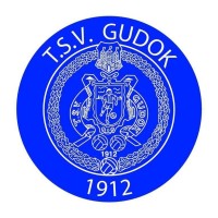 TSV Gudok logo - Similar company to Fier Lounge