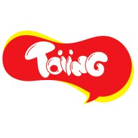 Toiing logo - Similar company to Havi.Co | The Robotic Toy Store