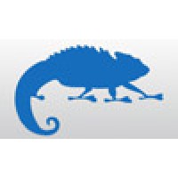 Chameleon Training