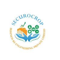 Securocrop Business Re-Engineering Private Limited logo - Similar company to Securocrop Securities India