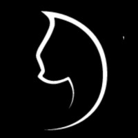 Wise Cat Business Services logo - Similar company to Dld Capital