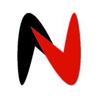 Noraa Pickleball logo - Similar company to Single Double Pickleball