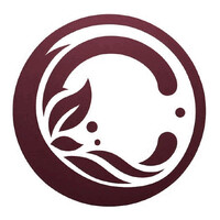 CONWAY EXECUTIVE COACHING & CONSULTING logo - Similar company to Skepsis Coaching