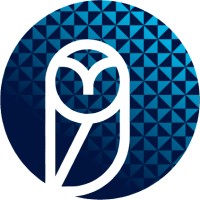 BIRDS Technology Studio logo - Similar company to Geoid.Eu