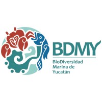 Biodiversidad Marina de Yucatán logo - Similar company to Kalanbio