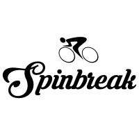 Spinbreak Studio logo - Similar company to Link Bde