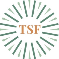 The Sustainability Firm logo - Similar company to Kgdn Technologies Limited