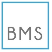 Bull Market Securities logo - Similar company to Iterafy (Acquired In 22’ By Elevate)