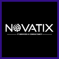 Novatix IT Services & Consultancy LLP logo - Similar company to Robodigitech