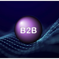 B2B Global Limited logo - Similar company to B2B Global