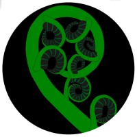 Koru Scenic Tours logo - Similar company to Byd Auto Nz