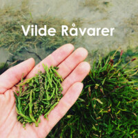 Vilde Råvarer logo - Similar company to Etoh Spirits