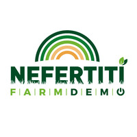 NEFERTITI H2020 logo - Similar company to Torraha