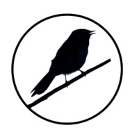 Wagtail Psychology logo - Similar company to Resile Pty Ltd