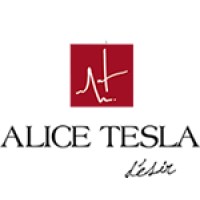 Alice Tesla logo - Similar company to Crowdsec