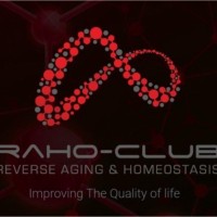 Rahoclub member of Dunia Sehat Sentosa Indonesia logo - Similar company to Raho Premier