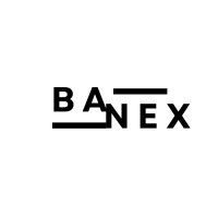 Banex Consulting logo - Similar company to Banex