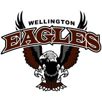 Wellington Middle-High School logo - Similar company to Dracarys Enterprises