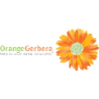 Orangegerbera
