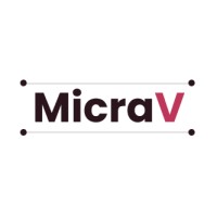 MicraVision logo - Similar company to Net4Work Sarl