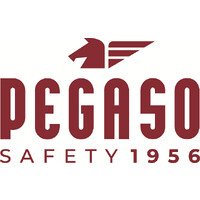 SAFEY CHILE logo - Similar company to Everyplace