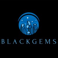 BlackGems Global logo - Similar company to Bunk Chamber