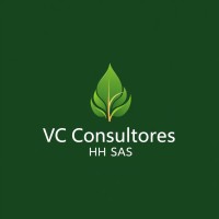 VC Consultores Head Hunter logo - Similar company to Vc Consulting