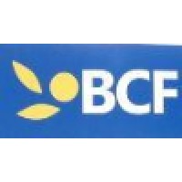 Bridge Credit Finance Company Ltd.