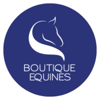 Boutique Equines logo - Similar company to Eagle Golf Merch