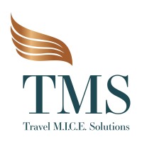 Travel M.I.C.E Solutions logo - Similar company to Latin Merch