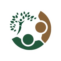 Willow Tree Group logo - Similar company to Storyy Group