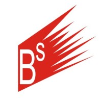 BS Job consultant logo - Similar company to Acara Groups