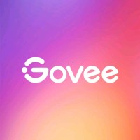 Distribuidor Oficial Govee México logo - Similar company to Govee