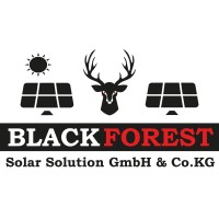 Blackforest Solar Solution GmbH & Co.KG logo - Similar company to Revotec Gmbh
