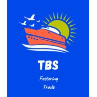 Tshimenga Business Solutions logo - Similar company to Mbc Digital